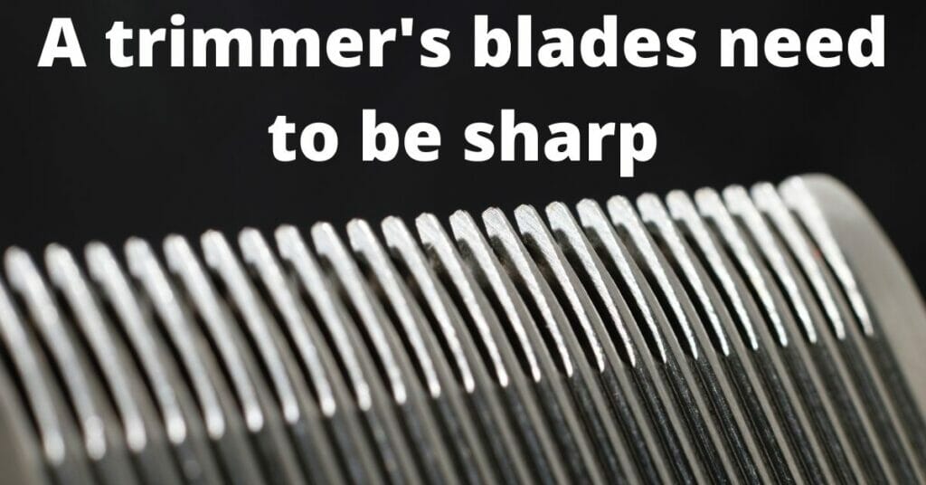 Beard-trimmer-blades-must-be-sharp